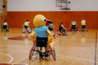 official-programme image 34