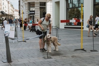 teplarny-brno-sports-arena image 9